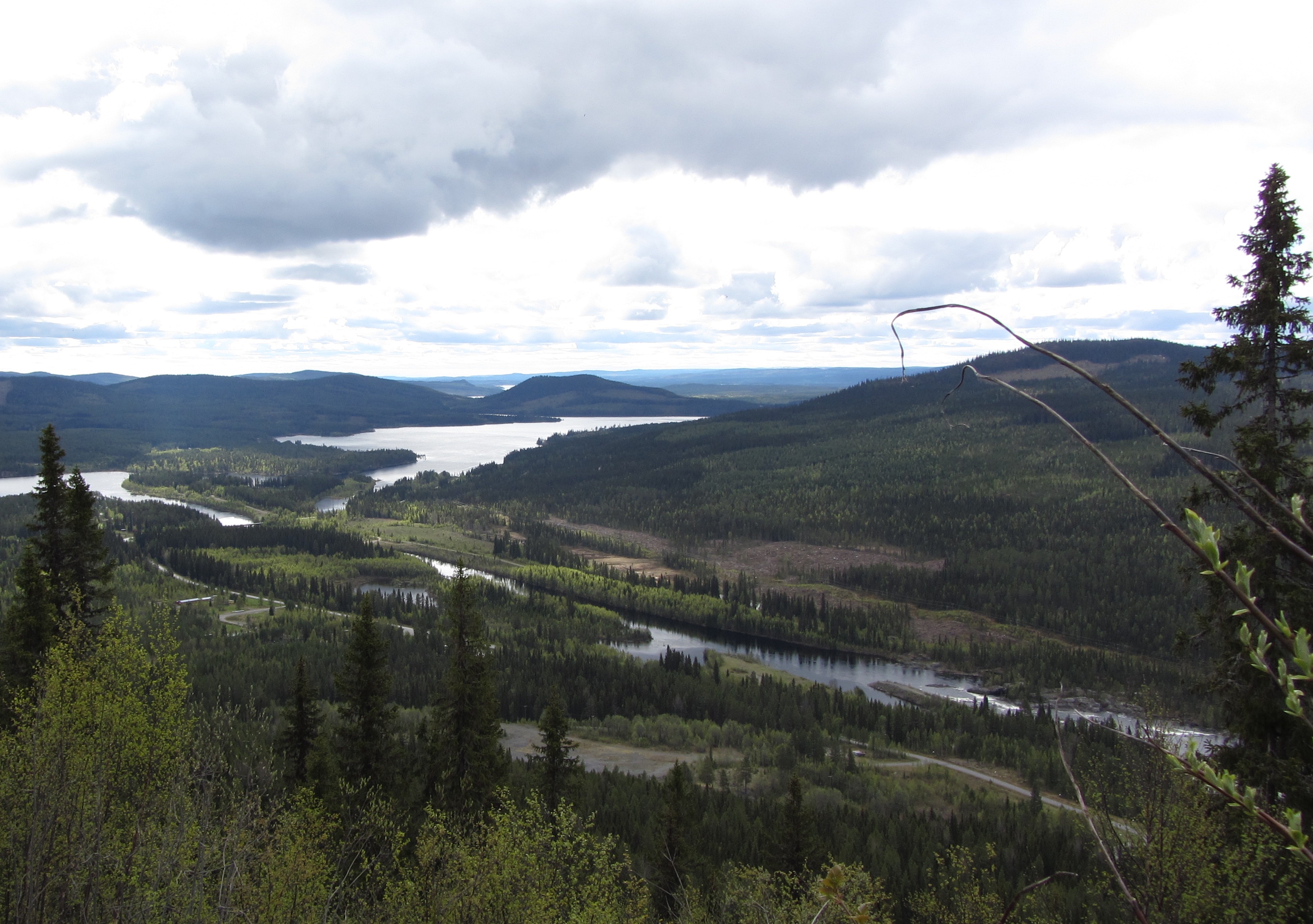 Baltic Landscape in change - innovative approaches towards sustainable forested landscapes.
