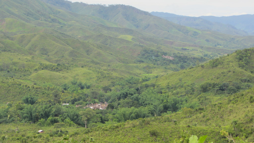 Nature's contribution to poverty alleviation, human wellbeing and the SDGs (Nature4SDGs)